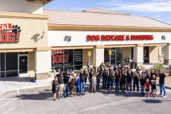 Screen-Shot-2020-12-03-at-10.32.46-AM