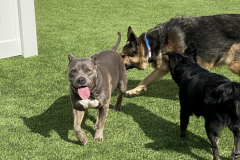 Screen-Shot-2020-12-03-at-10.33.00-AM