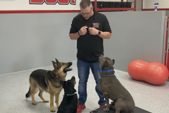 Screen-Shot-2020-12-03-at-10.33.20-AM