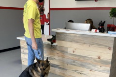 Screen-Shot-2020-12-03-at-10.33.49-AM