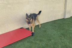 Screen-Shot-2020-12-03-at-10.34.17-AM