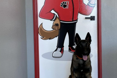 Screen-Shot-2020-12-03-at-10.36.09-AM