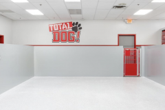 Screen-Shot-2020-12-03-at-10.37.04-AM