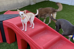 Screen-Shot-2020-12-03-at-10.38.36-AM