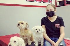 Screen-Shot-2020-12-03-at-10.39.57-AM