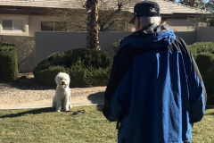 Screen-Shot-2020-12-03-at-10.11.41-AM