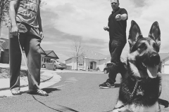 Screen-Shot-2020-12-03-at-10.11.50-AM