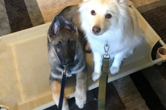 Screen-Shot-2020-12-03-at-10.11.58-AM