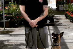 Screen-Shot-2020-12-03-at-10.12.11-AM