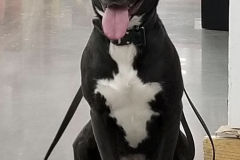 Screen-Shot-2020-12-03-at-10.12.19-AM