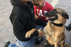 Screen-Shot-2020-12-03-at-10.12.56-AM