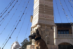 Screen-Shot-2020-12-03-at-10.13.28-AM