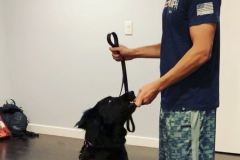 Screen-Shot-2020-12-03-at-10.13.37-AM