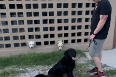 Screen-Shot-2020-12-03-at-10.14.06-AM