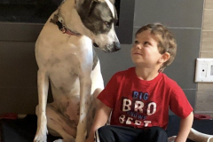 Screen-Shot-2020-12-03-at-10.15.19-AM