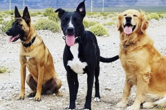 Screen-Shot-2020-12-03-at-10.15.36-AM