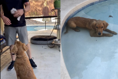 Screen-Shot-2020-12-03-at-10.15.47-AM