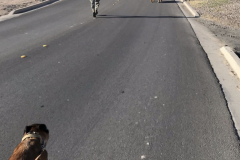 Screen-Shot-2020-12-03-at-10.16.27-AM