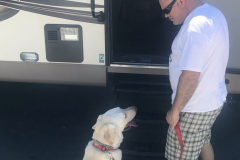 Screen-Shot-2020-12-03-at-10.17.11-AM