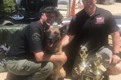 Screen-Shot-2020-12-03-at-10.17.23-AM