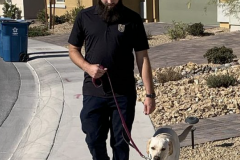 Screen-Shot-2020-12-03-at-10.19.14-AM