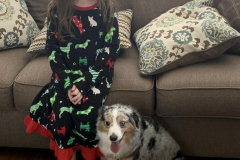 Screen-Shot-2020-12-03-at-10.19.28-AM