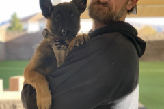 Screen-Shot-2020-12-03-at-10.20.46-AM