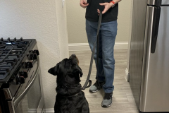 Screen-Shot-2020-12-03-at-10.21.15-AM