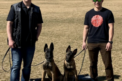 Screen-Shot-2020-12-03-at-10.22.35-AM