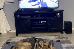 Screen-Shot-2020-12-03-at-10.22.48-AM