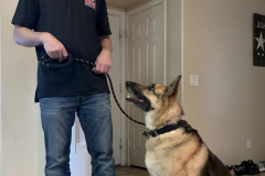 Screen-Shot-2020-12-03-at-10.23.45-AM