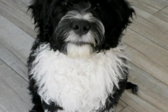 Screen-Shot-2020-12-03-at-10.28.29-AM