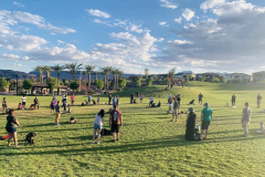 Screen-Shot-2020-12-03-at-10.29.40-AM