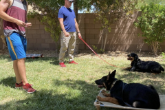 Screen-Shot-2020-12-03-at-10.29.54-AM