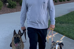 Screen-Shot-2020-12-03-at-10.30.05-AM