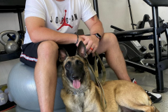 Screen-Shot-2020-12-03-at-10.30.19-AM